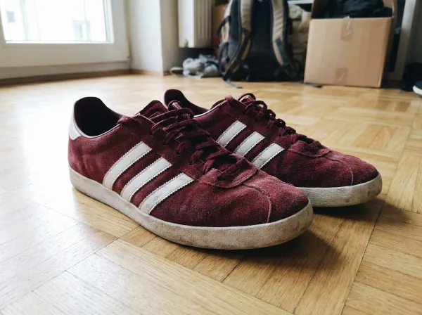 Baskets Adidas Gazelle taille 41 vendues sur Vinted
